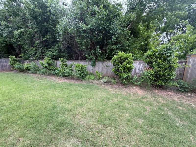 Landscape Design