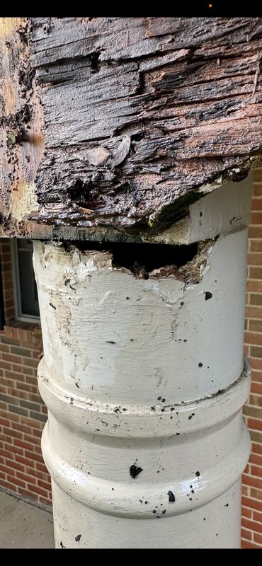 Common Damage We Repair