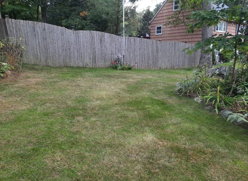 Lawn Maintenance