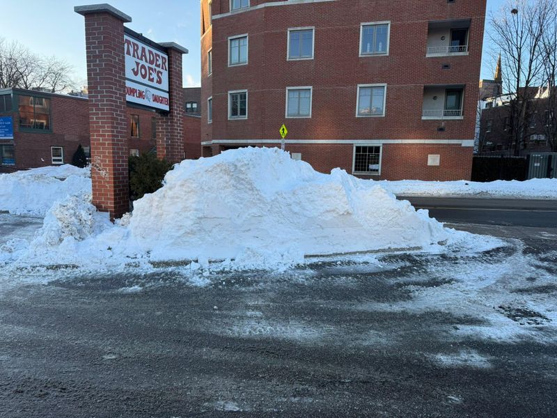 Residential Snow Plowing