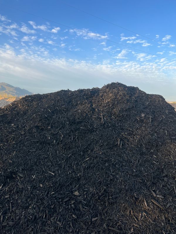 Mulch Installation