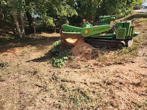 Stump Removal