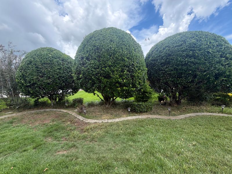 Trimming