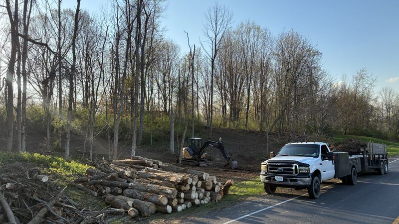 Forrest Rehabilitation