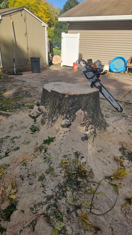 Tree Removal