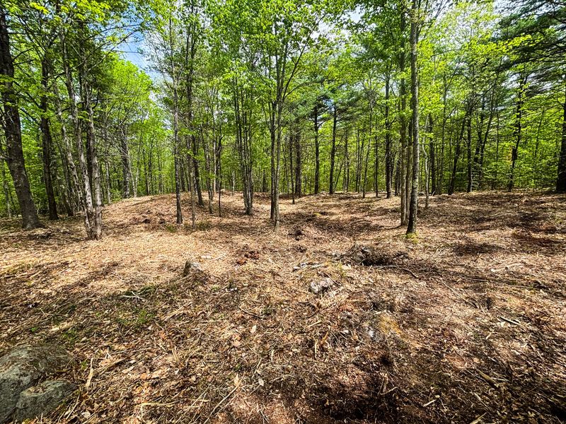 Forestry Mulching