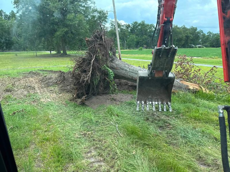 Land Clearing