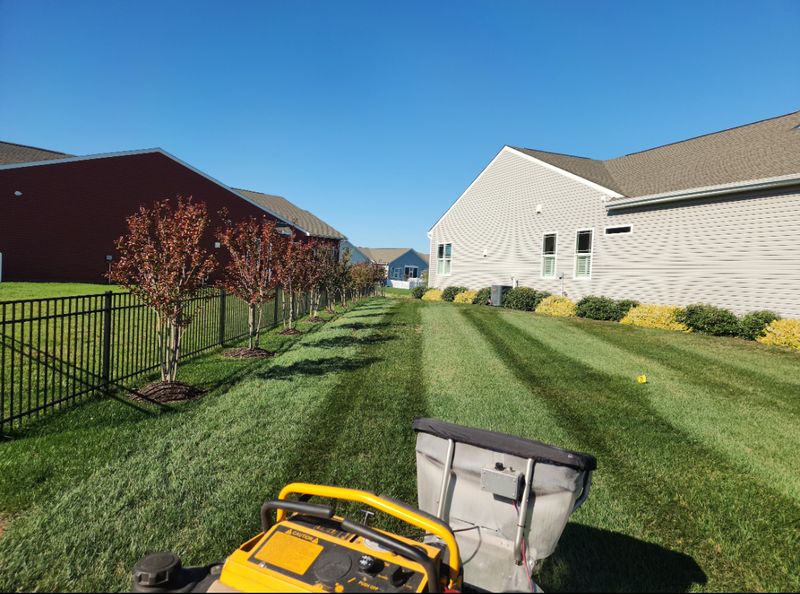 Lawn Mowing 🚜