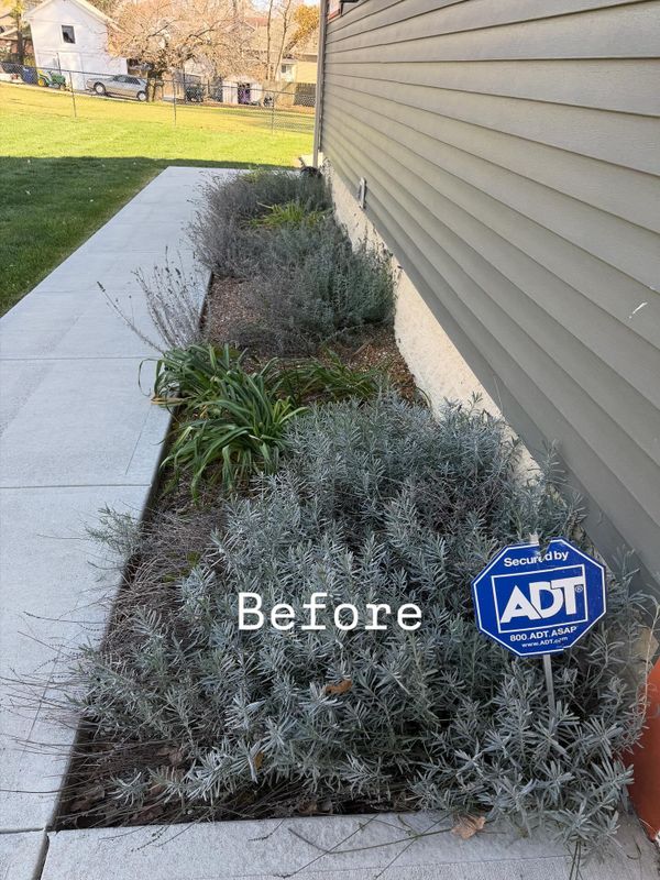 Fall and Spring Clean Up