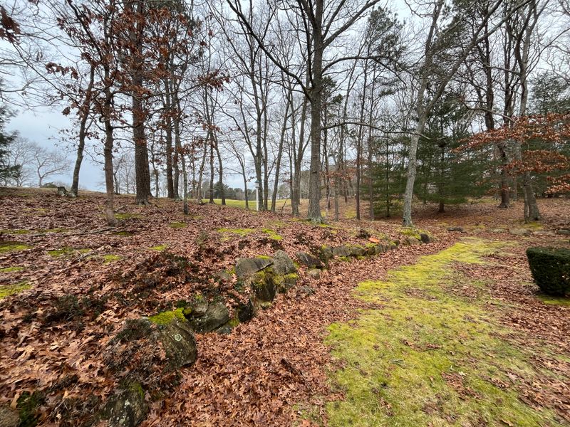 Fall CleanUp