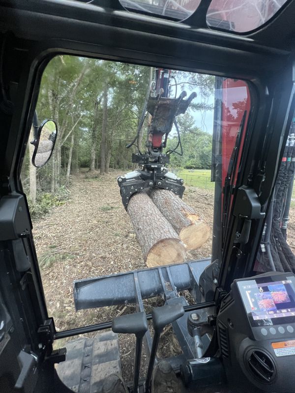 Tree Removal