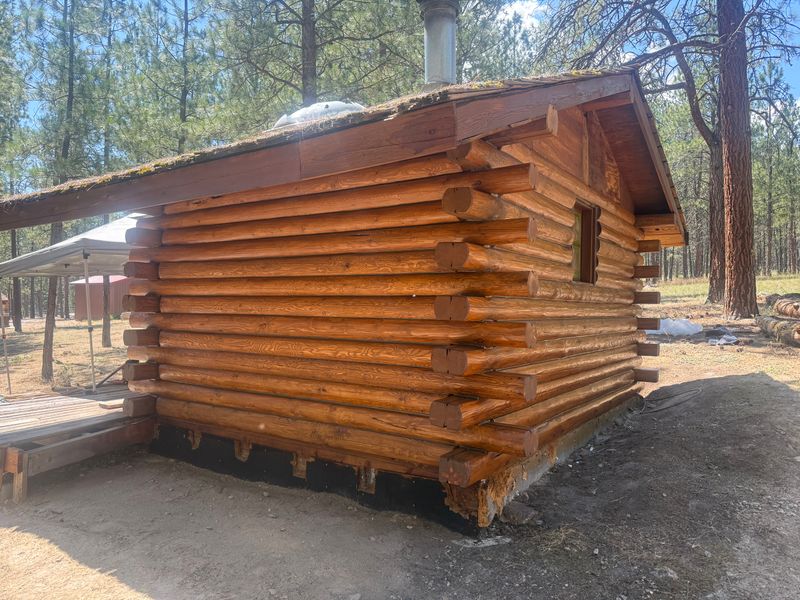 Log Home Restoration