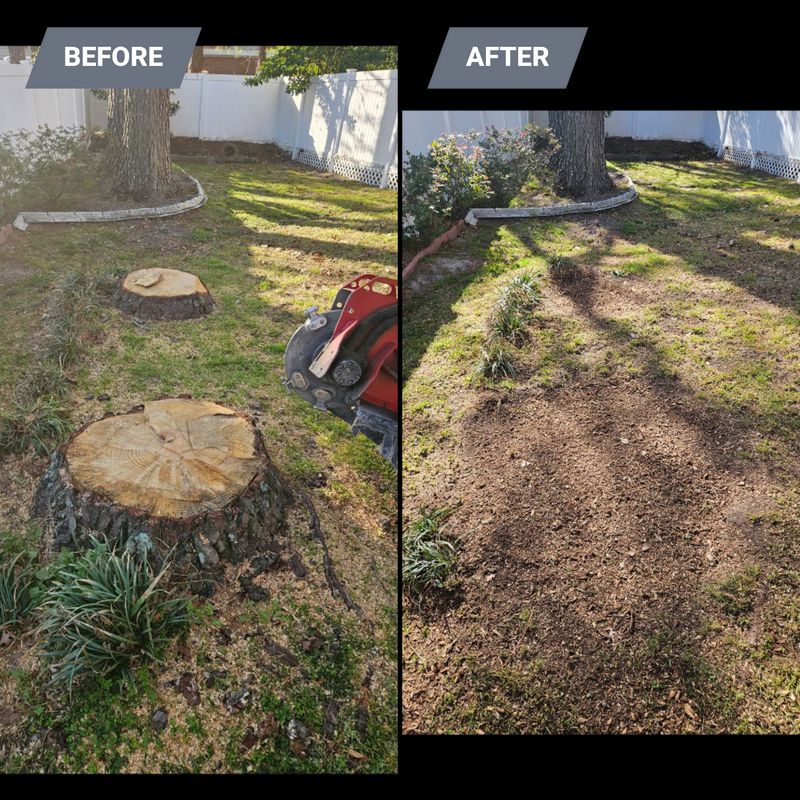 Stump Grinding