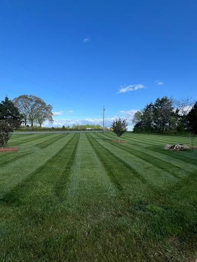 Fertilization and Weed Control Programs