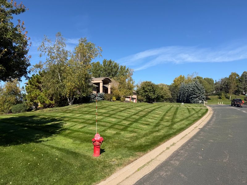 Lawn Maintenance