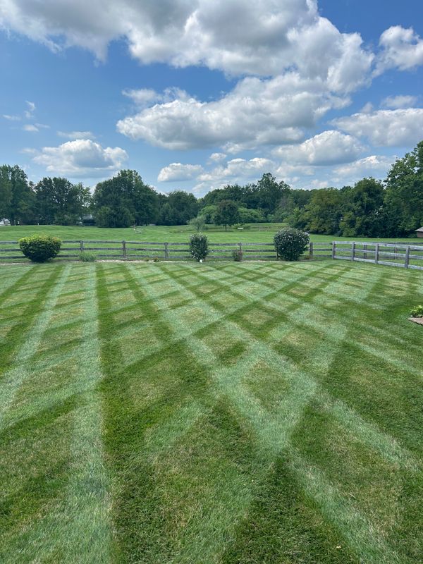 Our Mowing