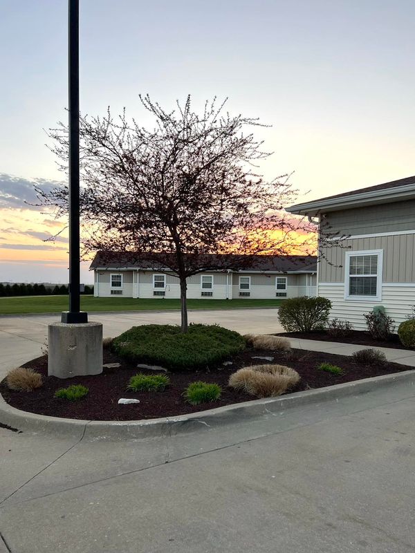 lawncare and landscaping