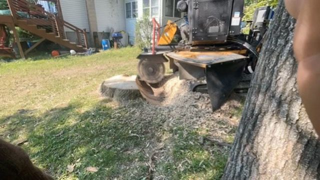 Stump Grinding