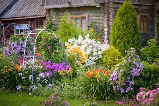 Landscape Design & Installation
