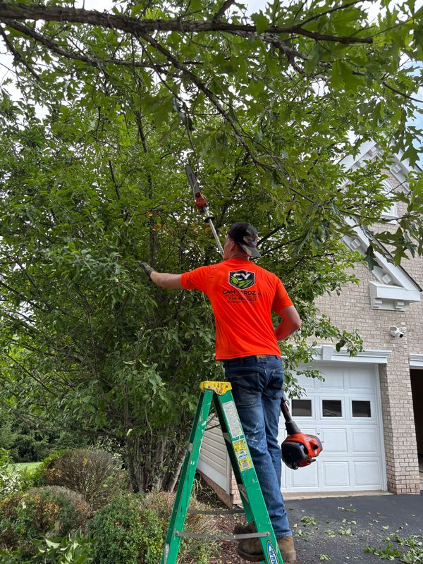 Landscaping