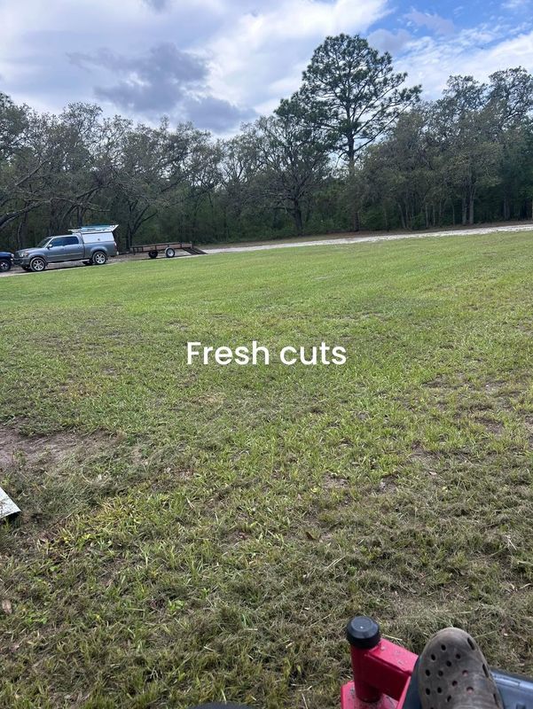 Lawn Maintenance