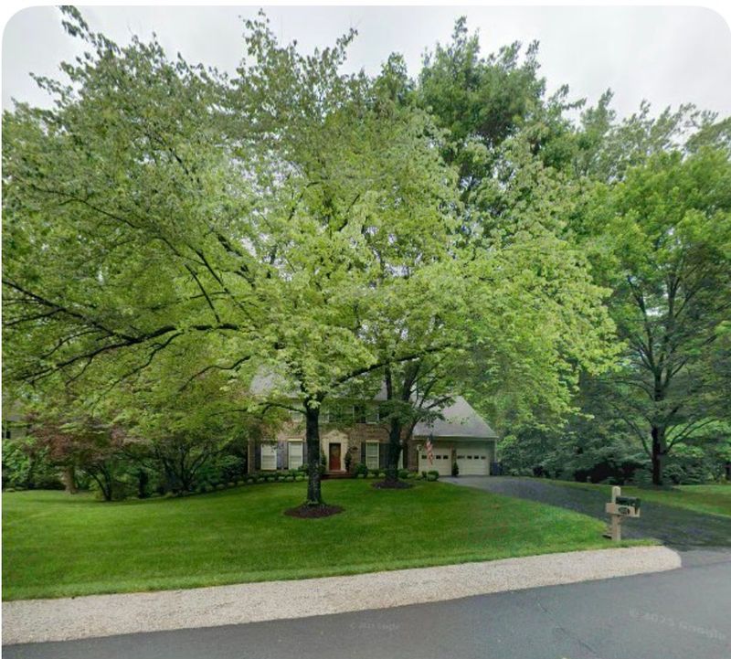 Lush Landscapes Transformed: Crafting Green Havens with R Merkli Inc.