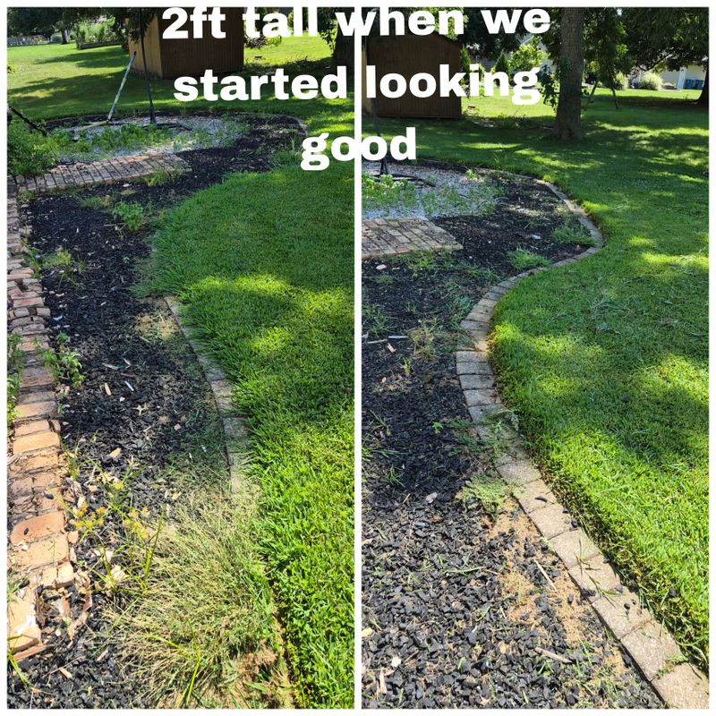 Lawn Maintenance