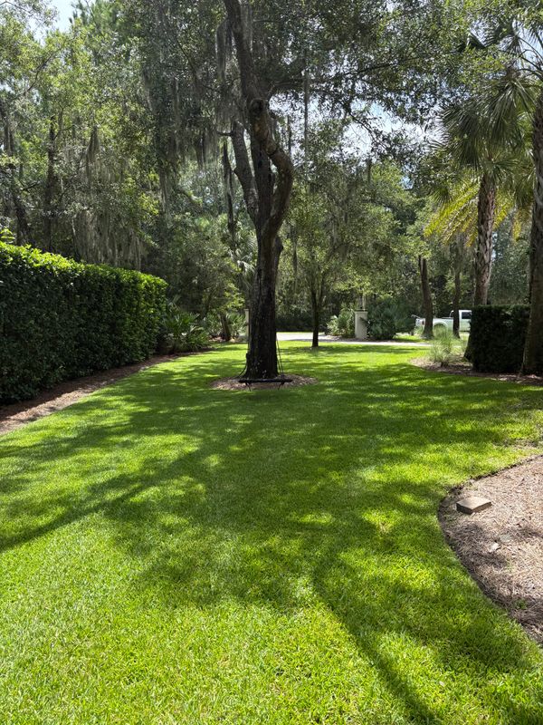 Lawn Maintenance