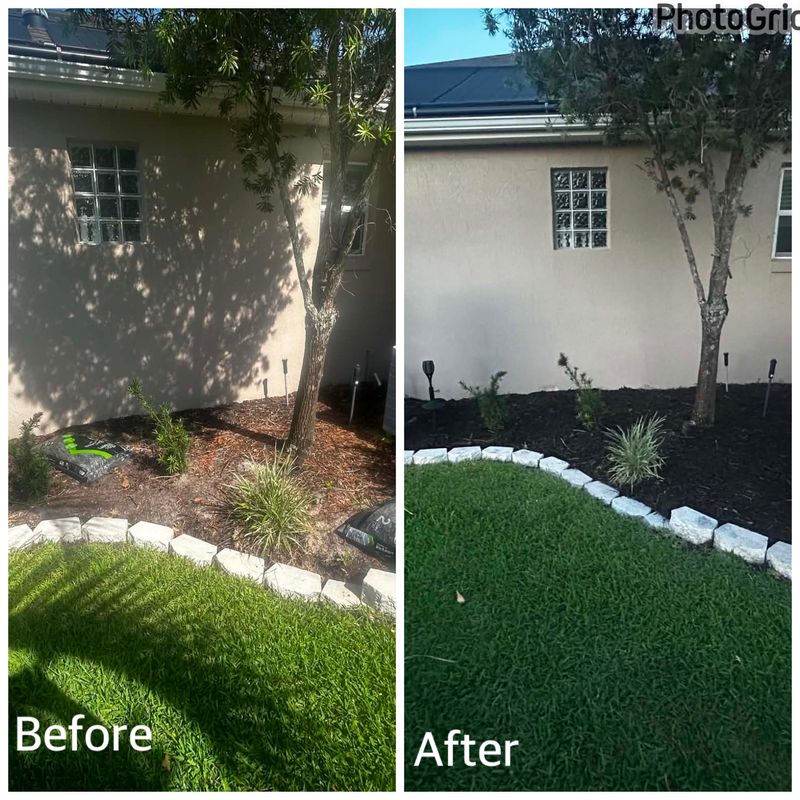 Before & After