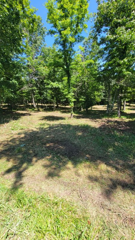 Land Clearing