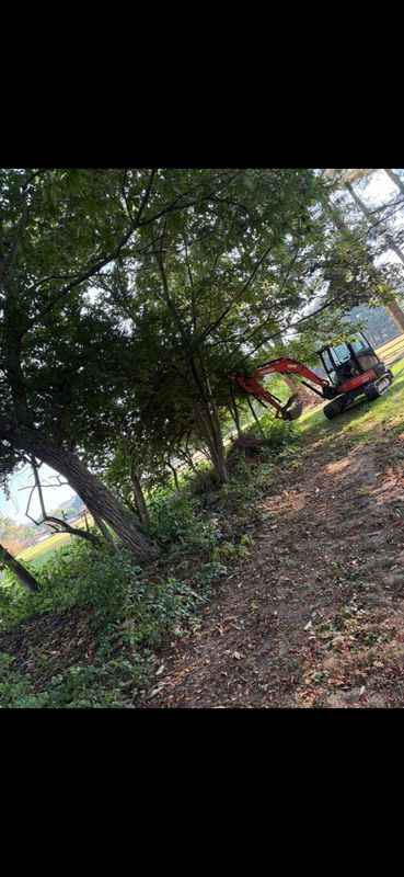 Fall Clean Up