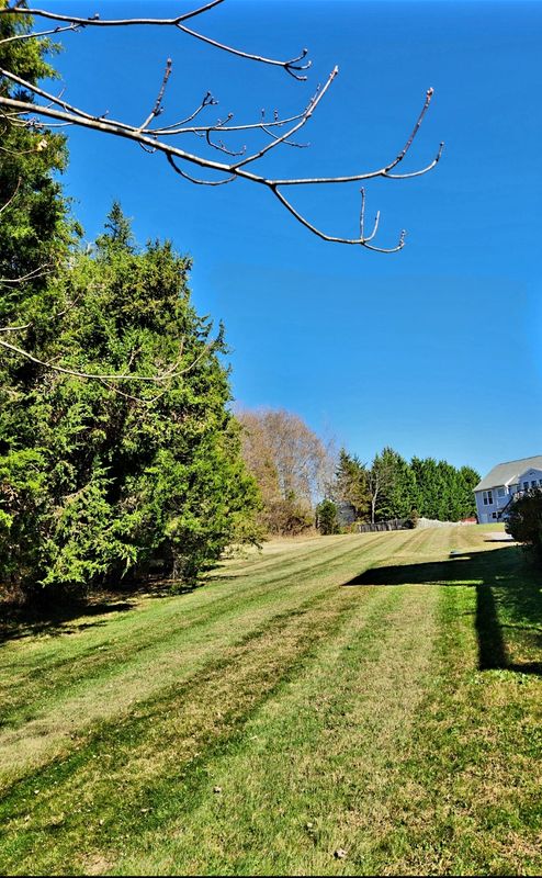 Lawn Maintenance