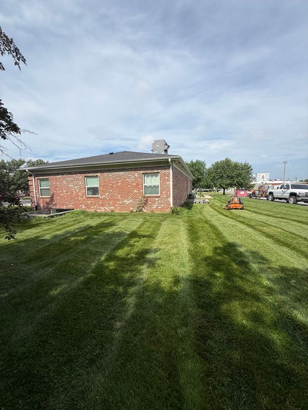 Lawn Maintenance
