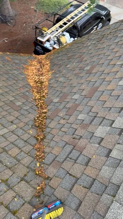 Roof Cleaning