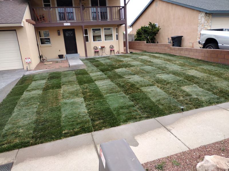 Lawn Care