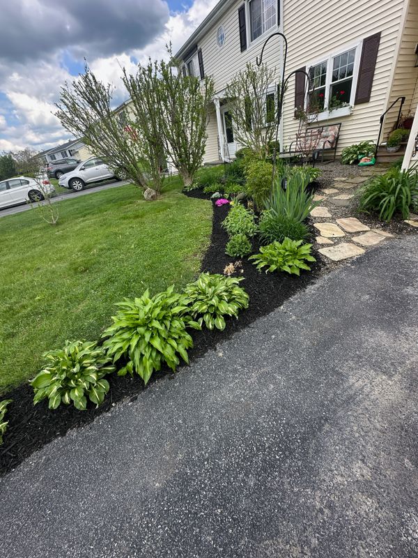 Landscaping
