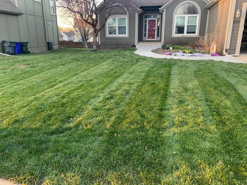 Targeted Turf Treatments