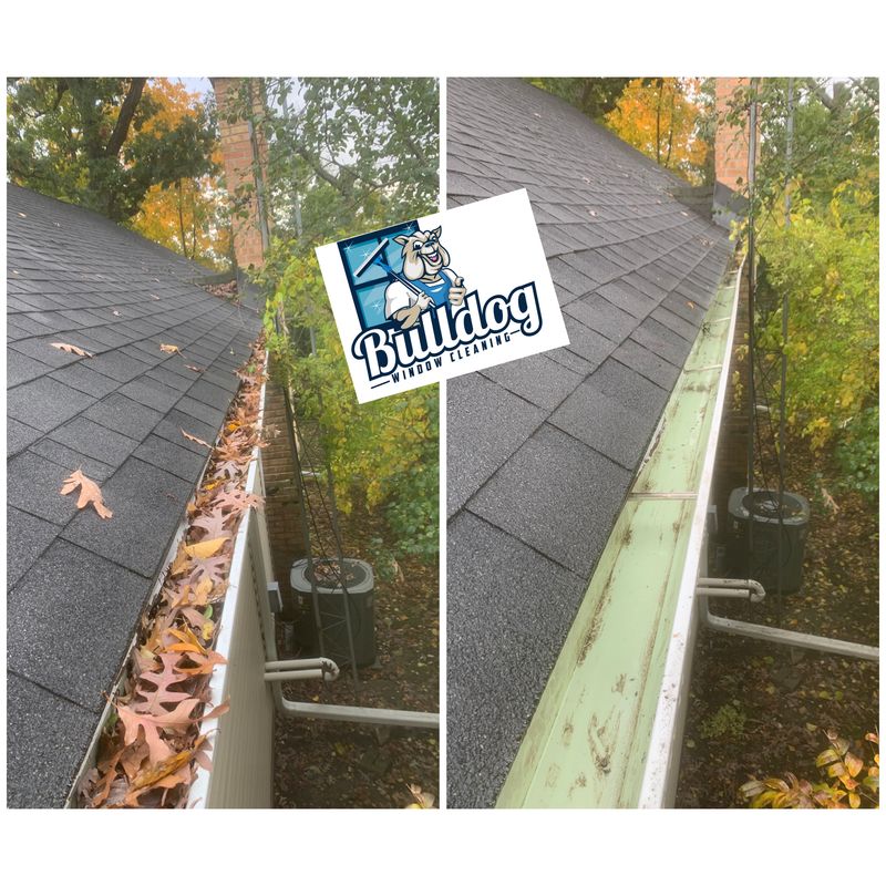 Gutter Cleaning