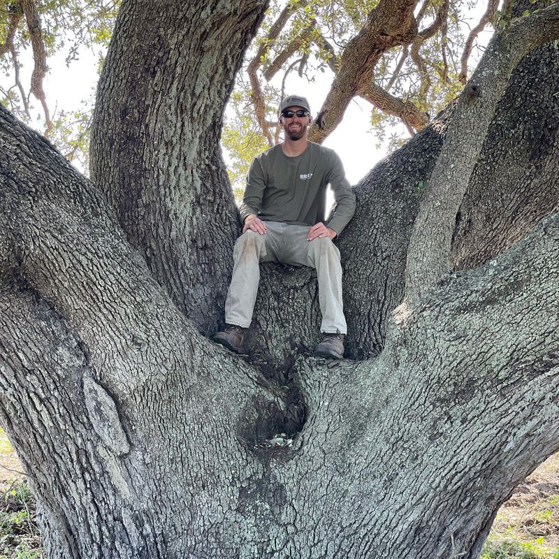   Tree Removal