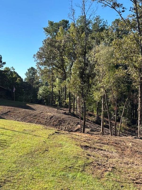 Land Clearing