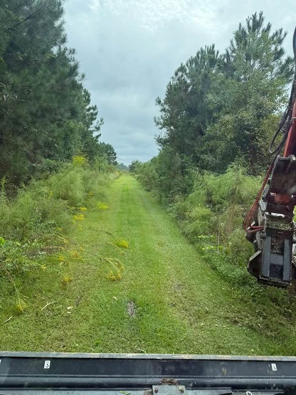 Forestry Mulching