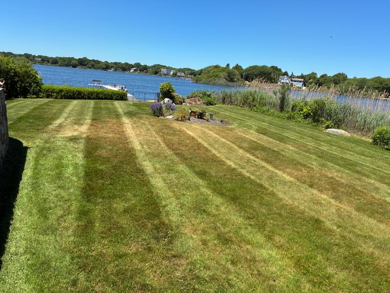 Mowing