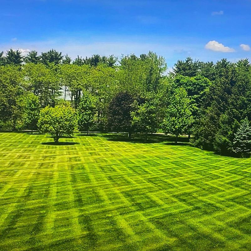 Mowing