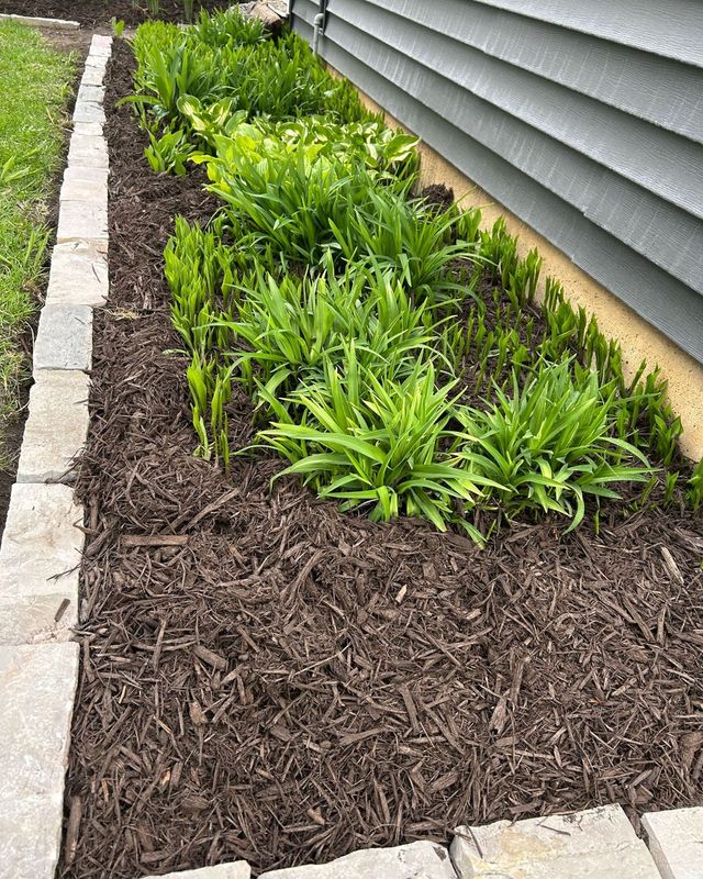 Flower Bed Gallery