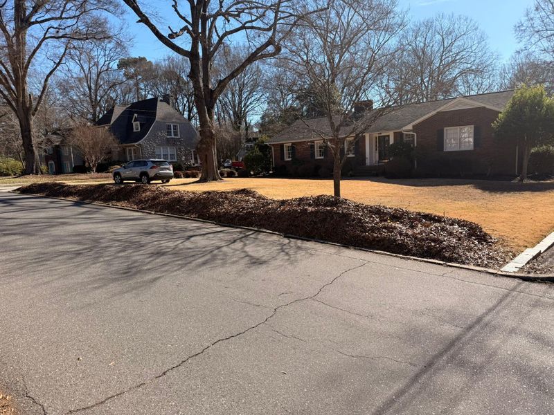 Other Lawn Maintenance