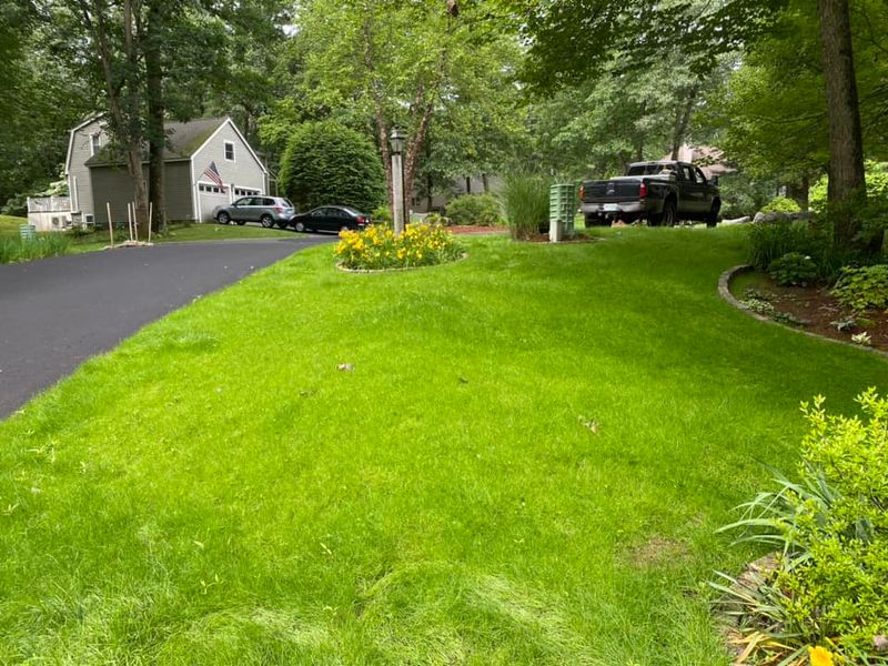 Landscaping