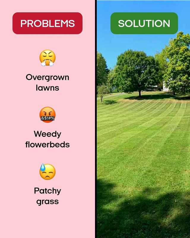 Fall and Spring Clean Ups