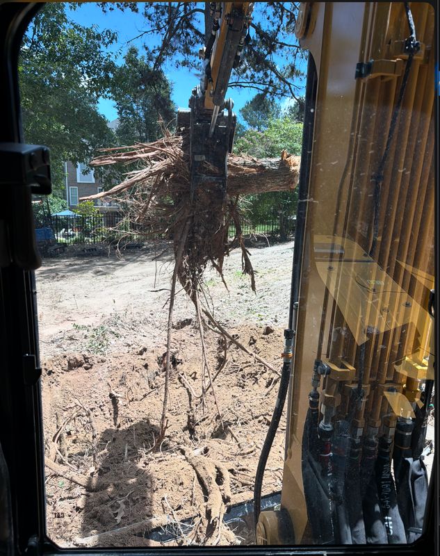 Stump Removal
