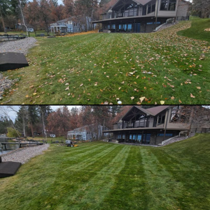 Landscape Installation