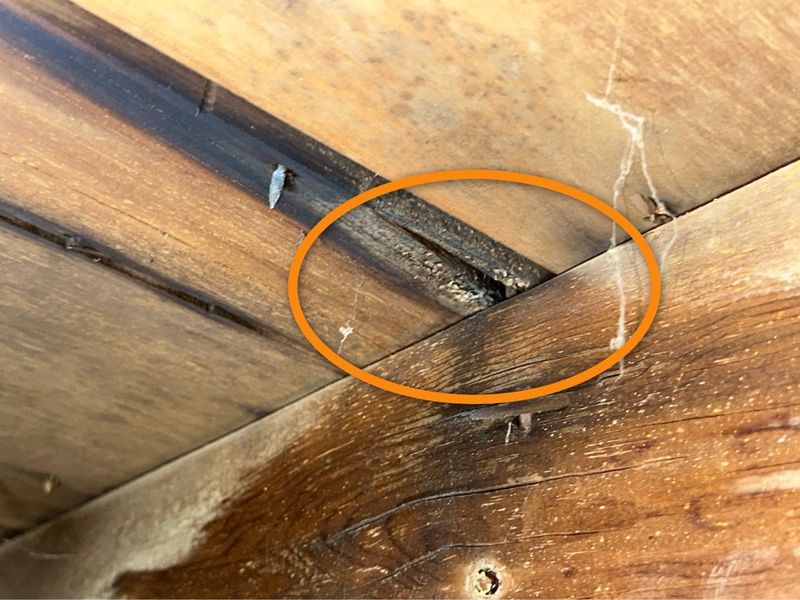 Full Home Inspection